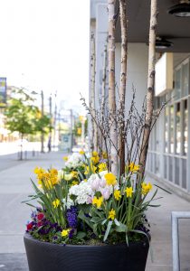 Fall/Spring Urns